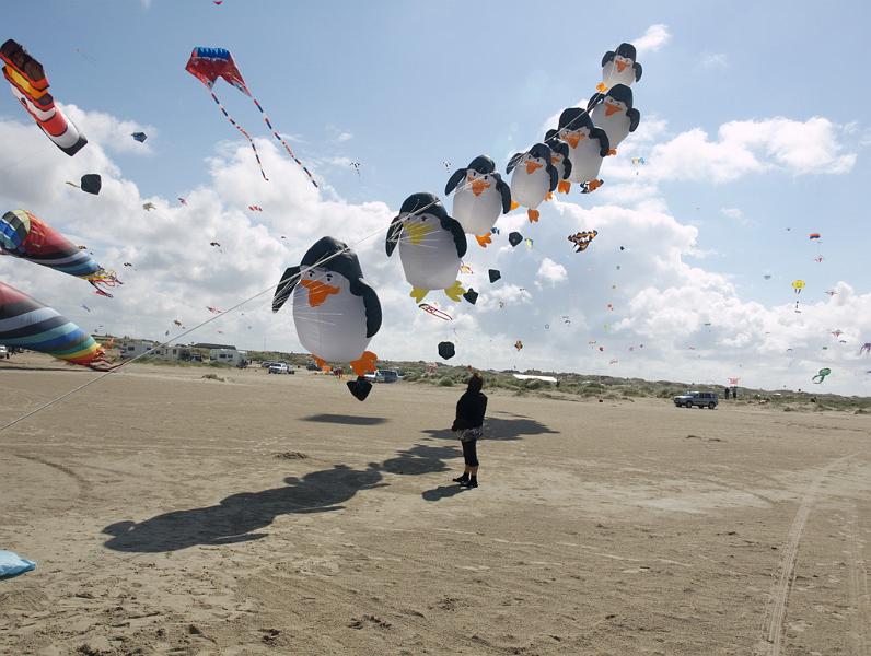 Fanø 2009 10.jpg
